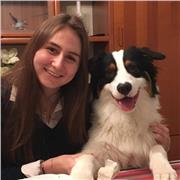 Partager ma passion pour l'histoire à travers un soutient scolaire pour des élèves sur Dijon